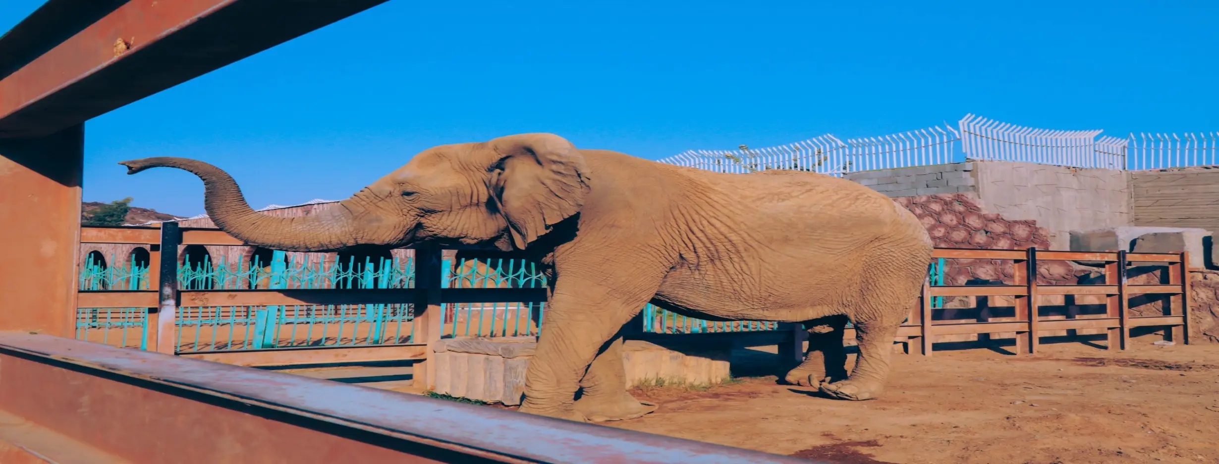 Image for Taif Zoo